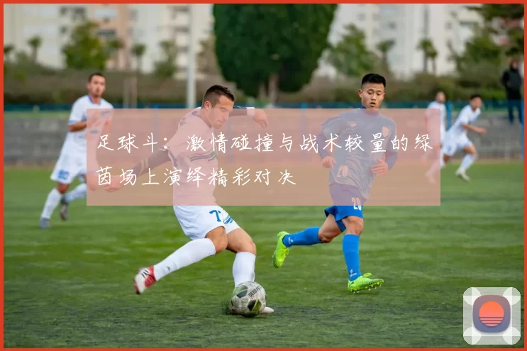 足球斗：激情碰撞与战术较量的绿茵场上演绎精彩对决